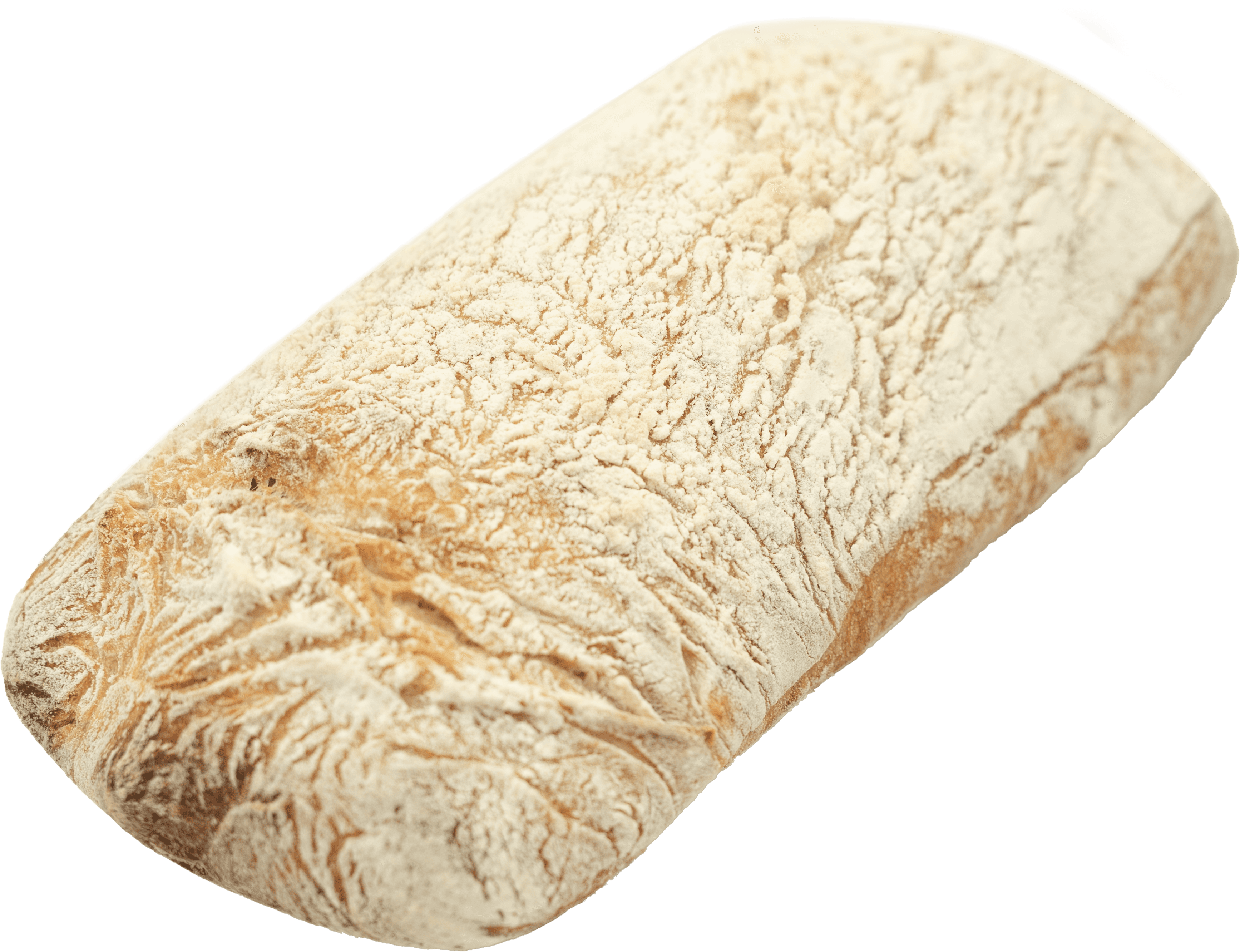 Sourdough Ciabatta