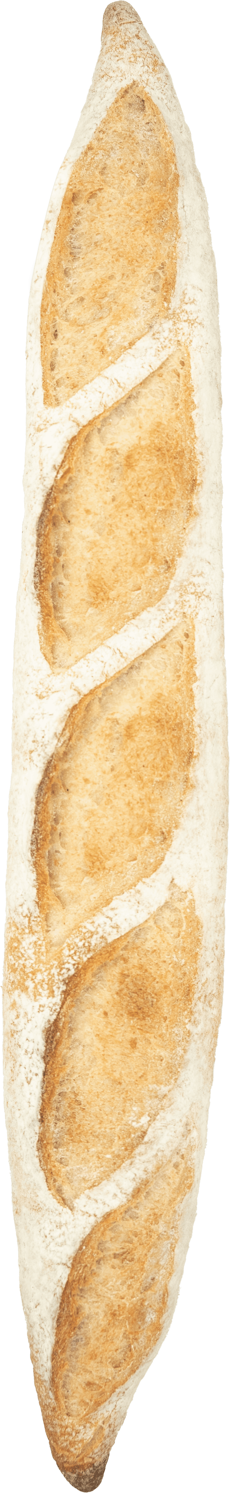 Sourdough Baguette