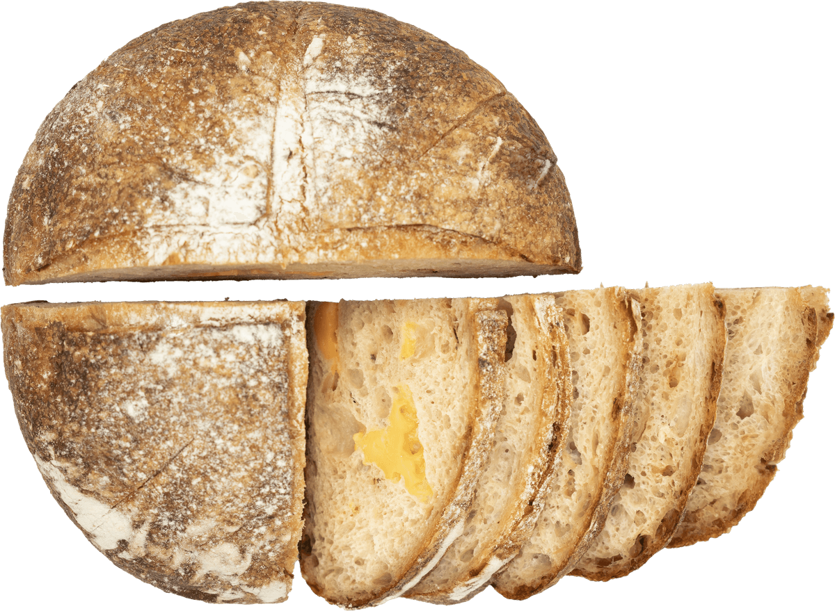 Sourdough Cheese Loaf
